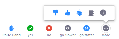 Zoom Options